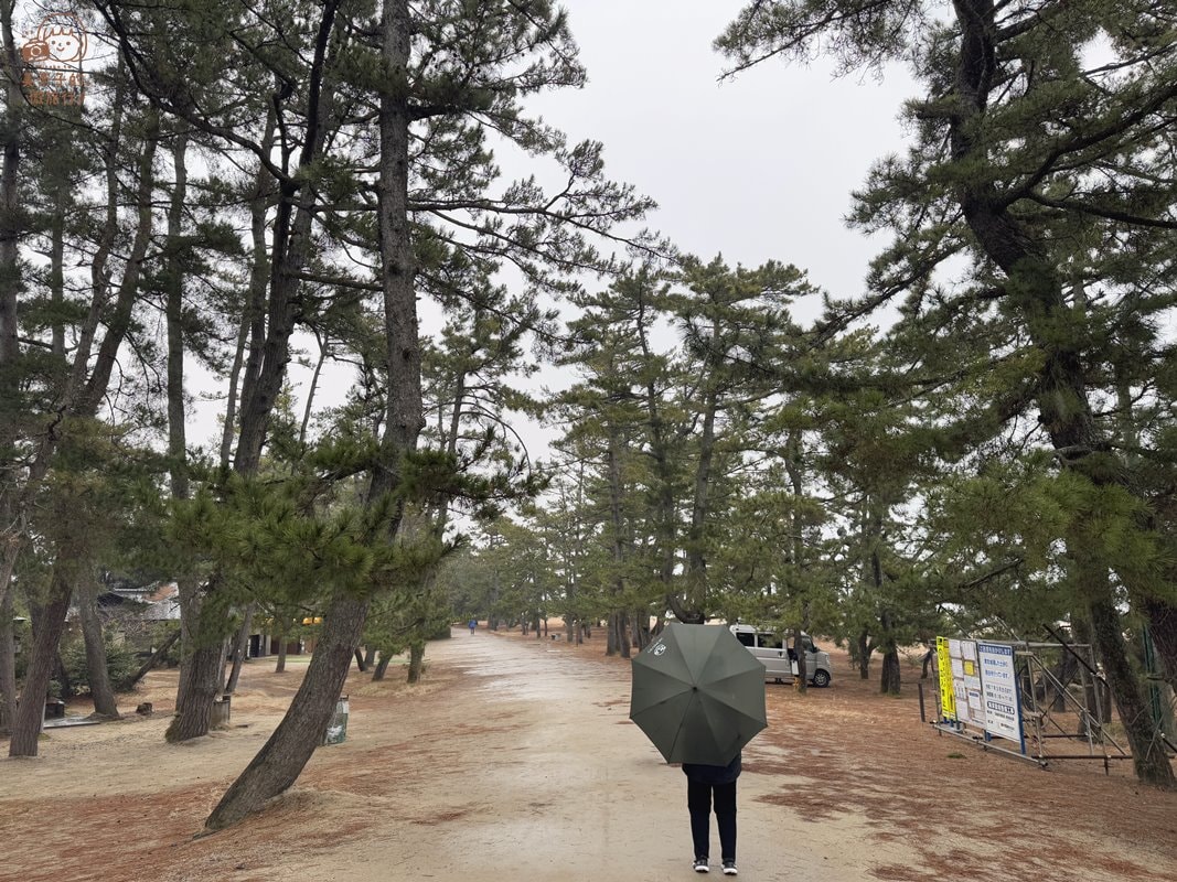 天橋立景點 沙洲公園 