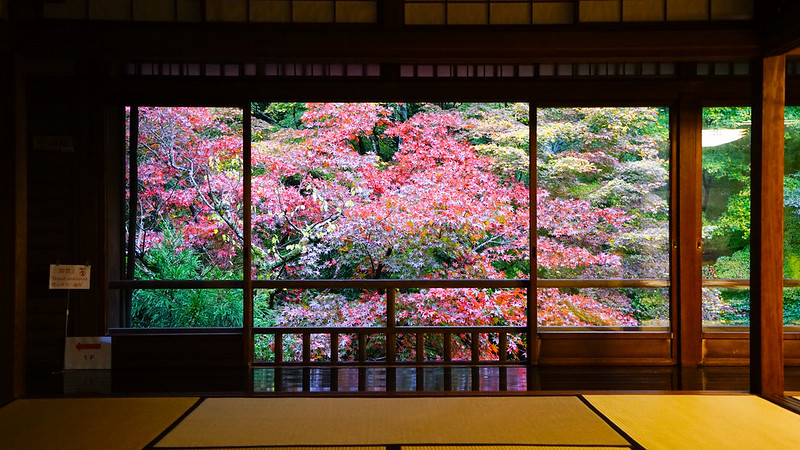 2023京都楓葉景點|瑠璃光院