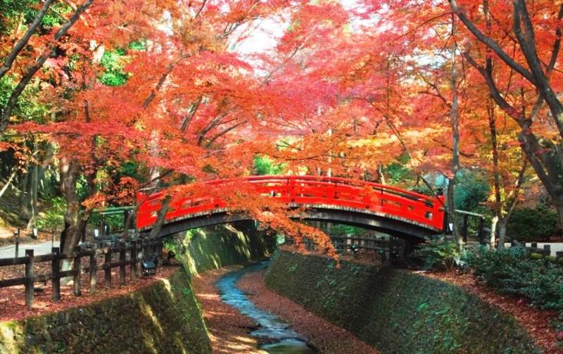 2023京都楓葉景點|北野天滿宮