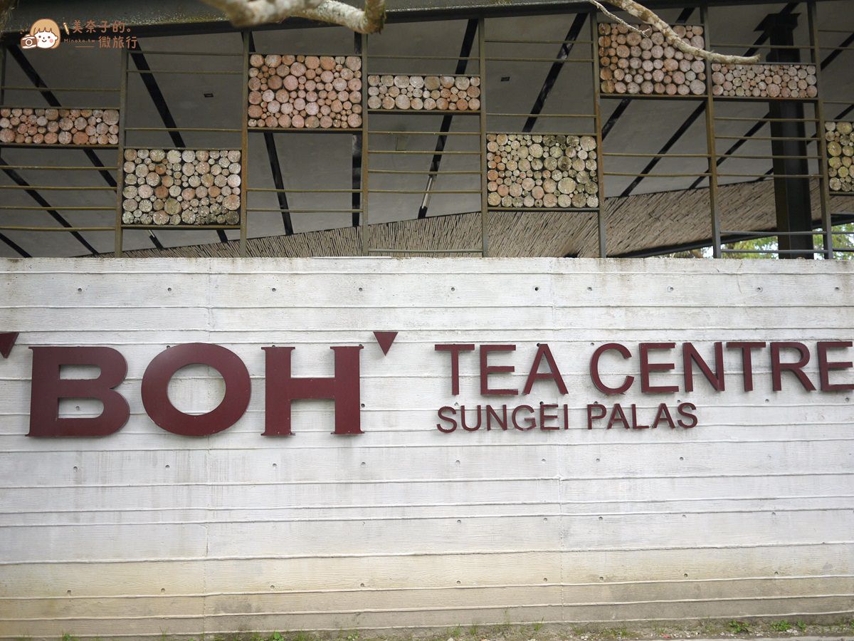 馬來西亞吉隆坡金馬崙高原景點：BOH茶園