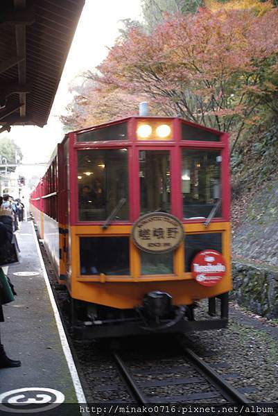 嵐山賞楓嵐山小火車