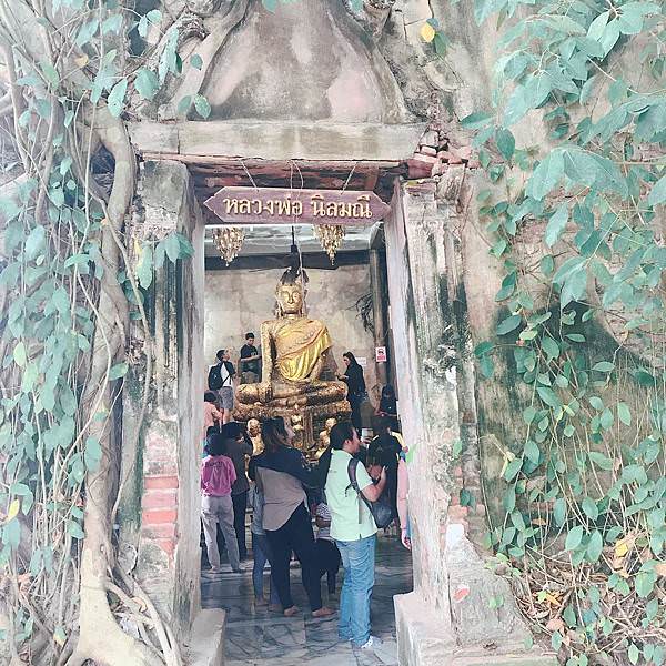 曼谷一日遊泰國經典行程：樹中廟 Wat Bang Kung