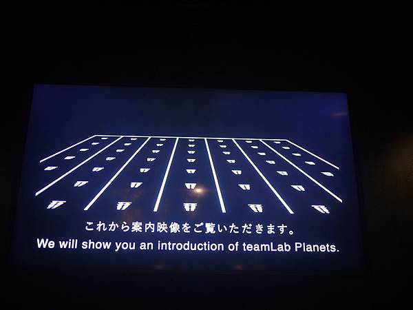 東京景點| 豐洲teamLab Planets Tokyo互動式光影展覽
