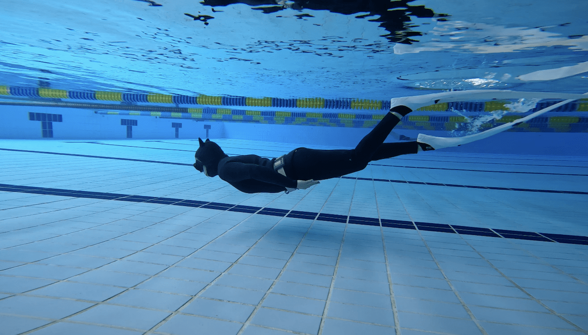 自由潛水證照課程平靜水域訓練