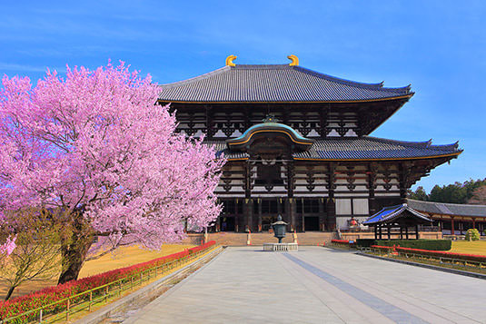 【2025日本奈良一日遊】看小鹿!奈良公園等景點、交通行程、美食推薦 - 第1張圖 關於奈良景點