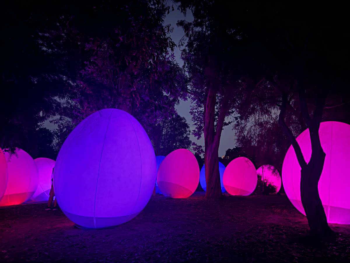 2024大阪teamlab botanical garden