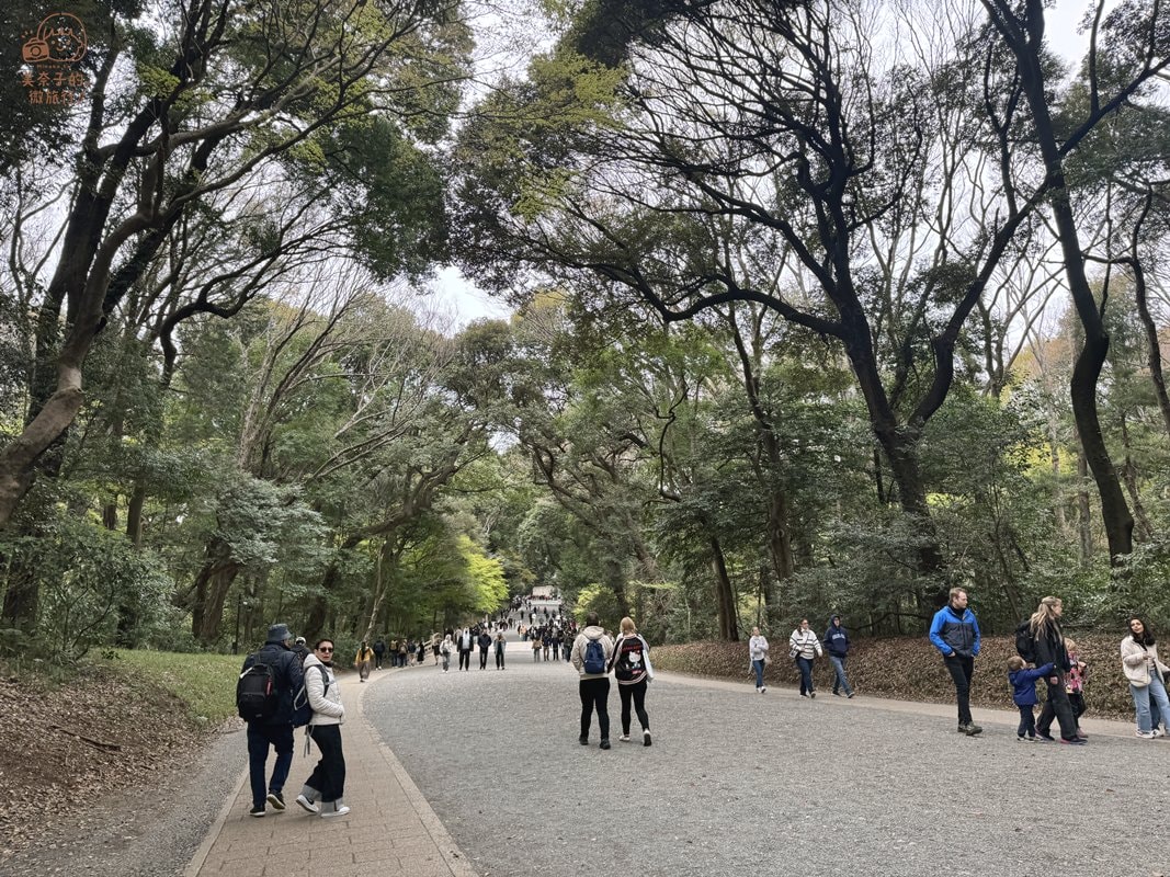 明治神宮南參道