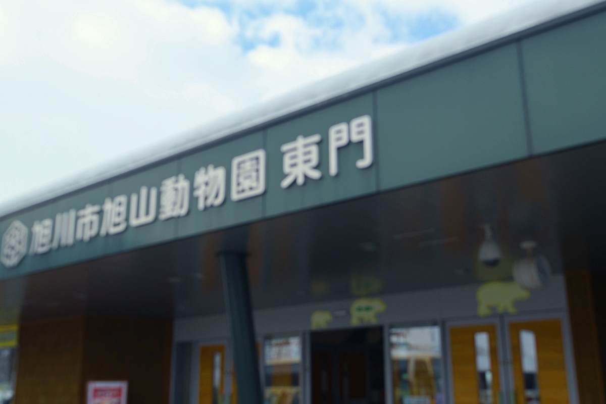 北海道親子景點｜旭山動物園入園攻略：從哪個入口進去最好？