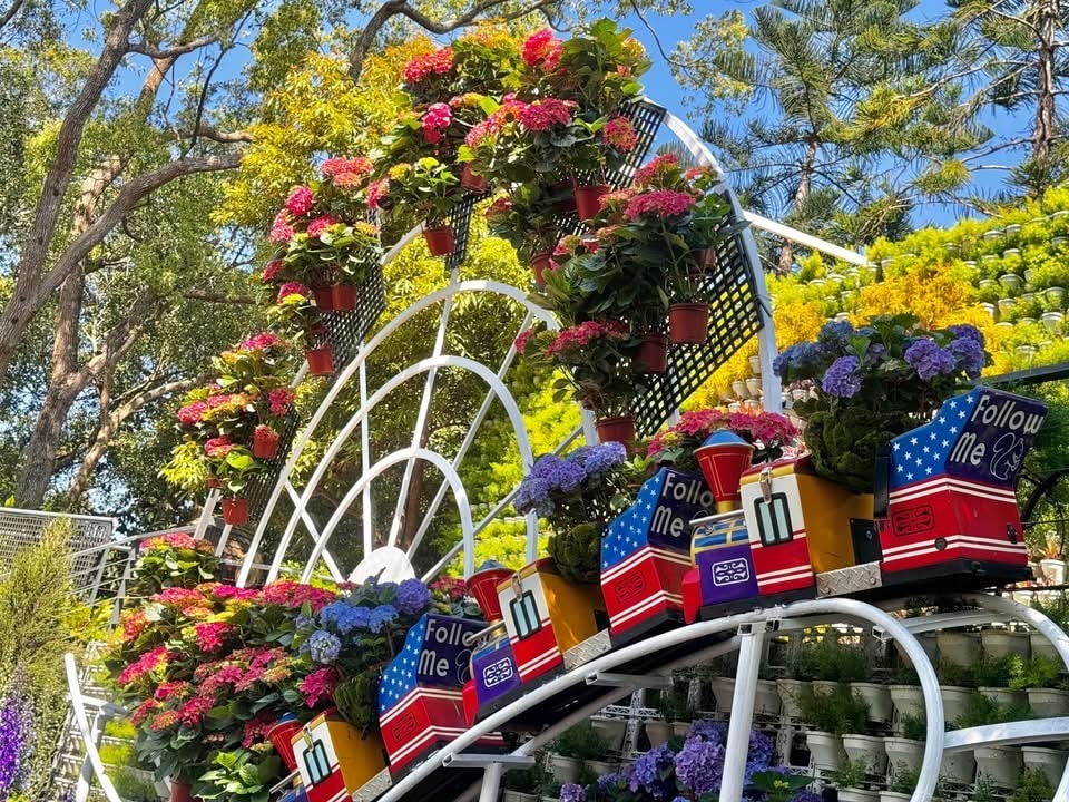 【花露農場 flower home】2025繡球花季開跑:苗栗卓蘭景觀下午茶餐廳,菜單豐富 - 第5張圖 花露休閒農場2025繡球花季