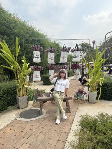 清邁旅遊季節