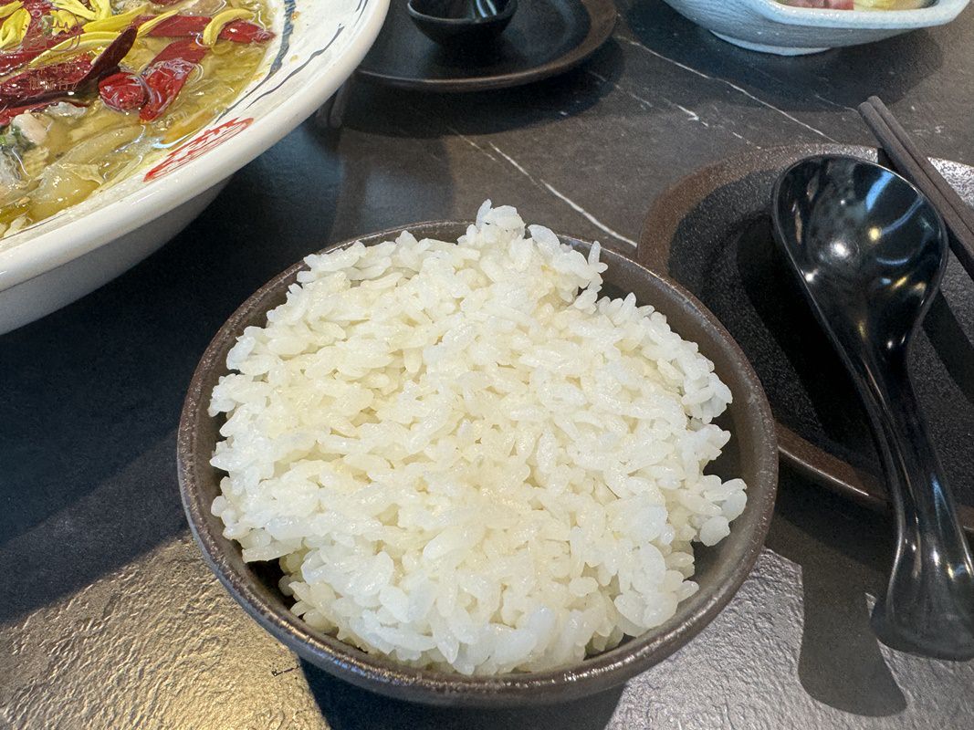 台北刁民酸菜魚白飯