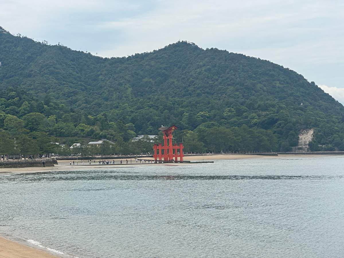 嚴島神社一日遊｜查潮汐時間看兩種樣貌的神社鳥居