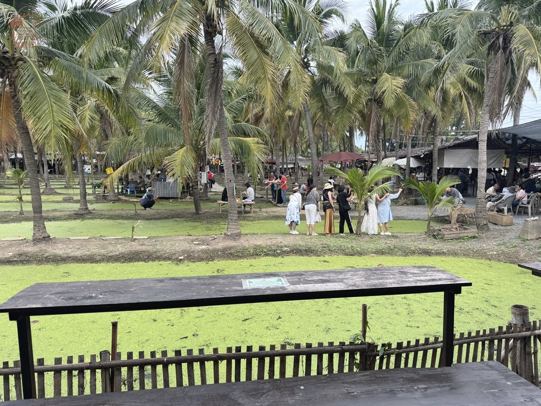 椰林市集 Coconut Market飲食座位