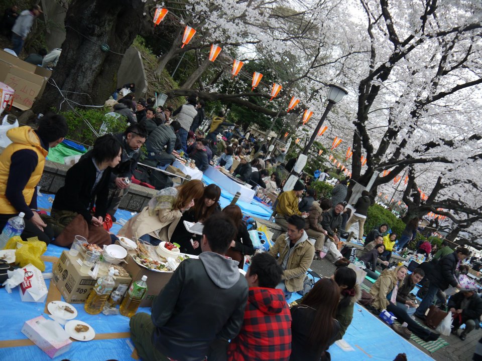 2025 東京櫻花景點推薦｜上野恩賜公園