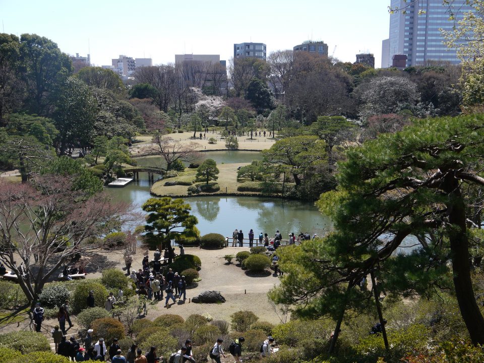 2025 東京櫻花景點推薦｜小石川後樂園：日本庭園賞櫻