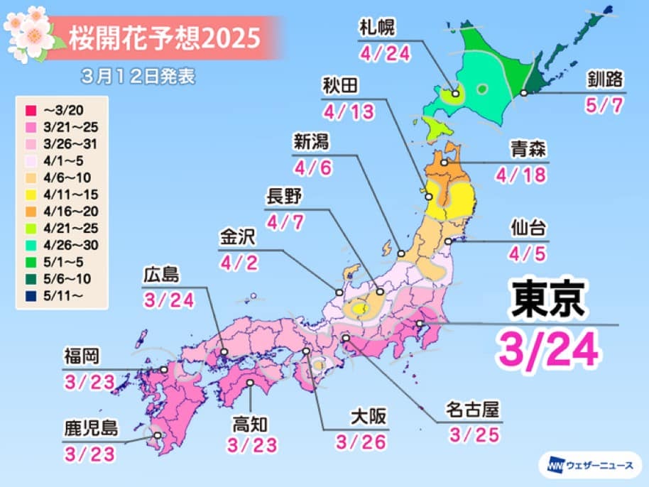 2025 日本櫻花季開花日期與滿開預測/櫻花現況