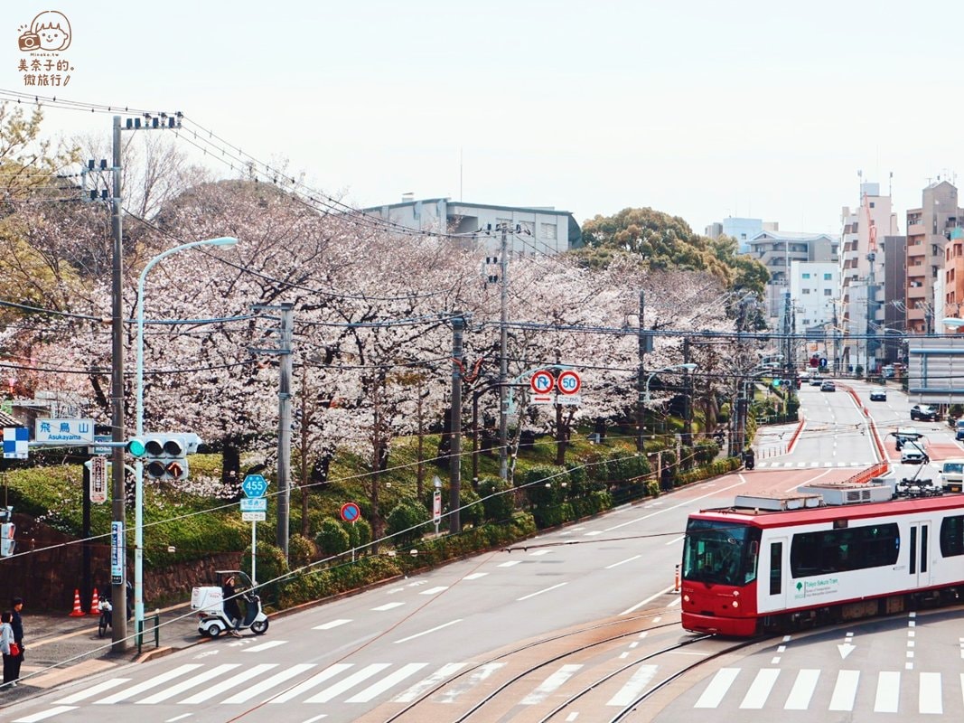 2025 東京櫻花季景點飛鳥山：電車與櫻花美景