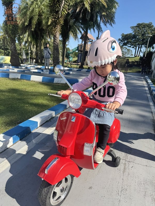 大溪威斯汀GOGO Car