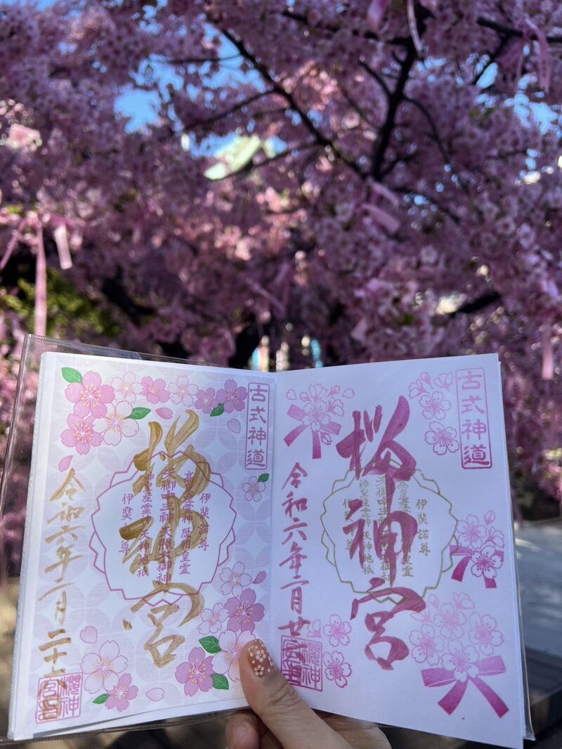 2025 東京櫻花景點推薦｜櫻神宮御朱印