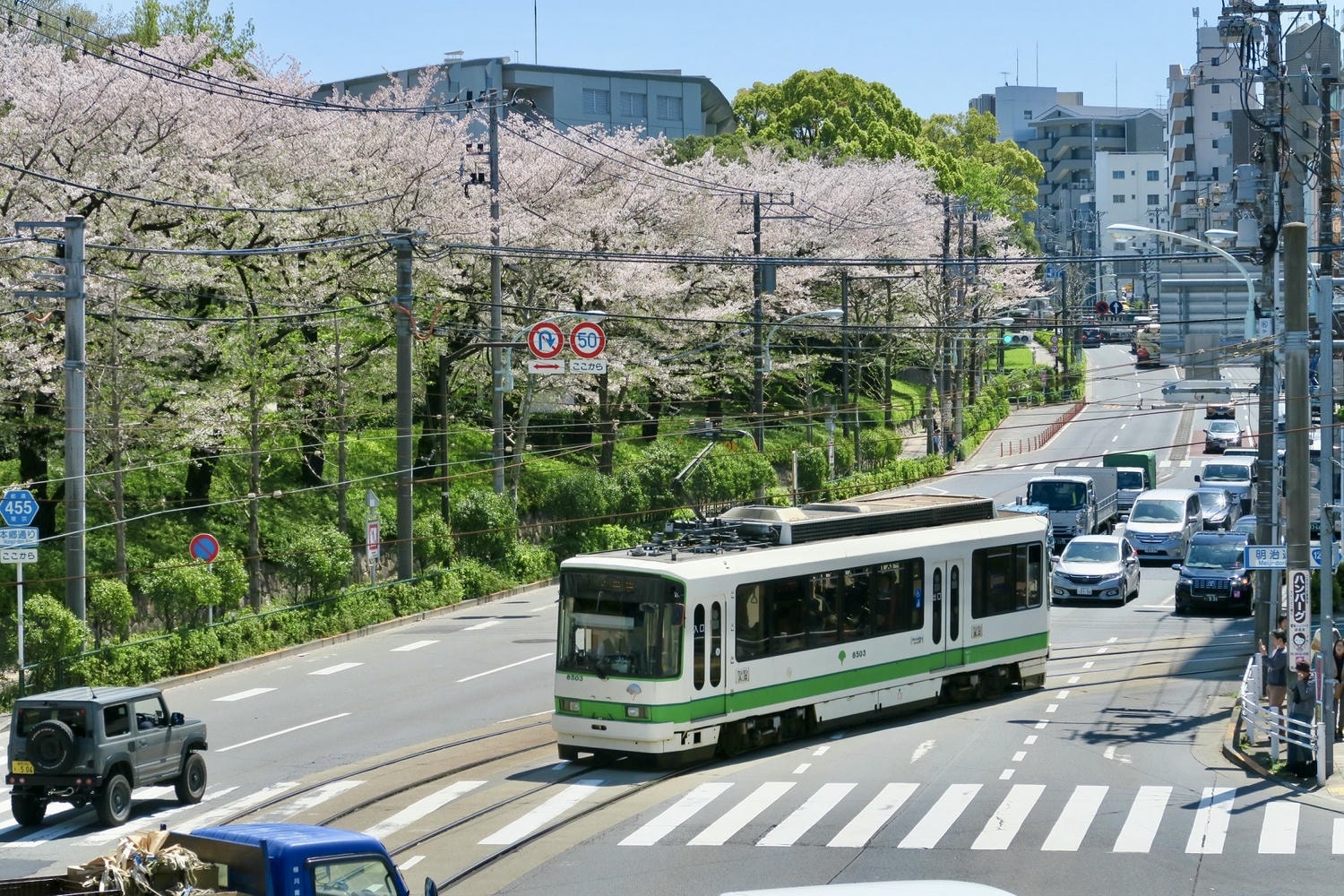 2025 東京櫻花景點推薦｜飛鳥山：電車與櫻花美景