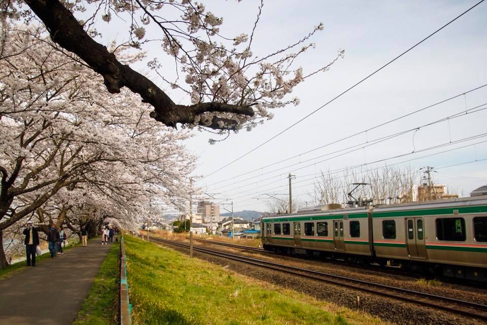 東京到仙台交通方式｜搭JR列車