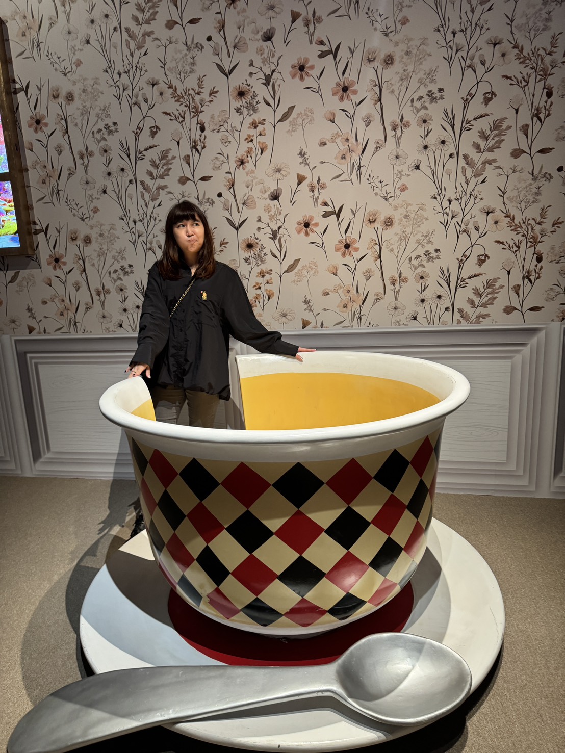 愛麗絲拯救仙境之旅展覽