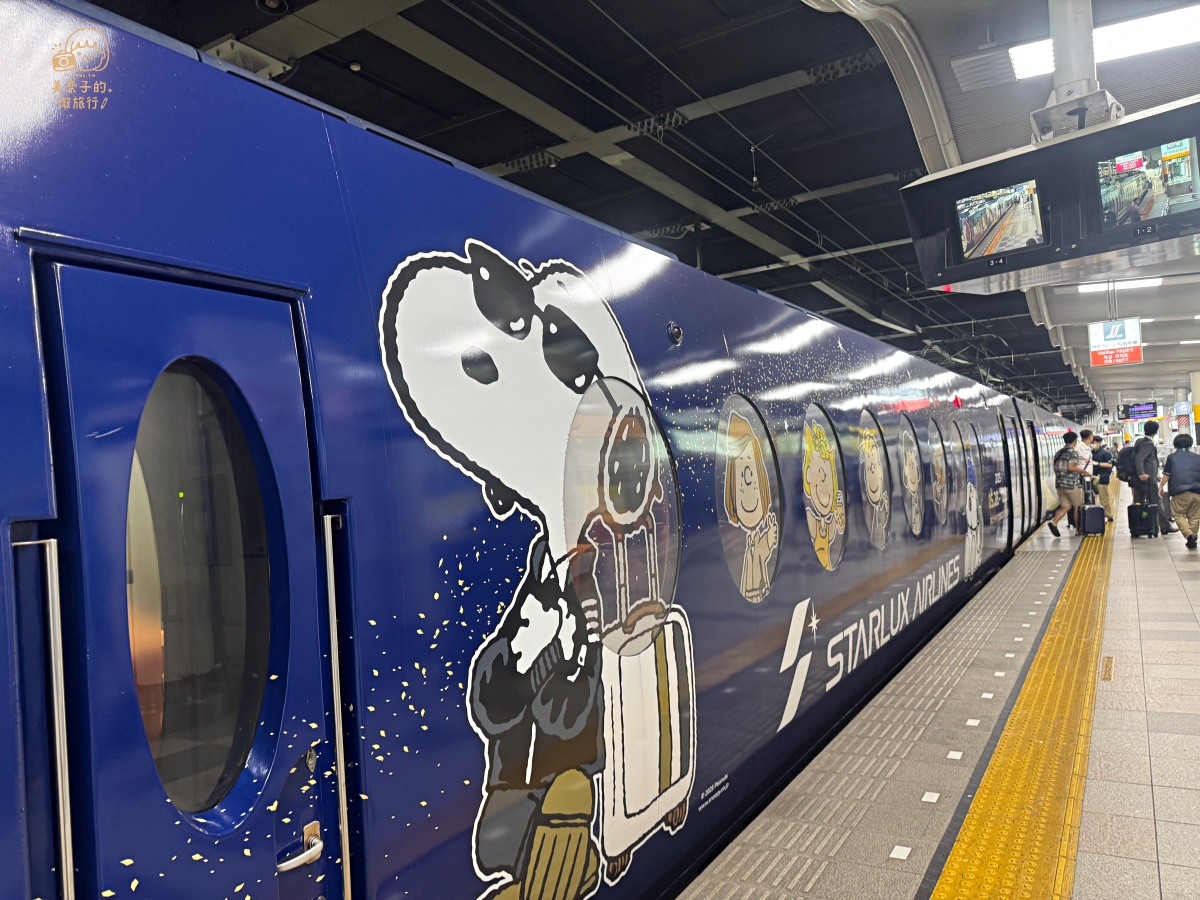 從關西機場到大阪市區｜關西機場快線南海特急 Rapi:t