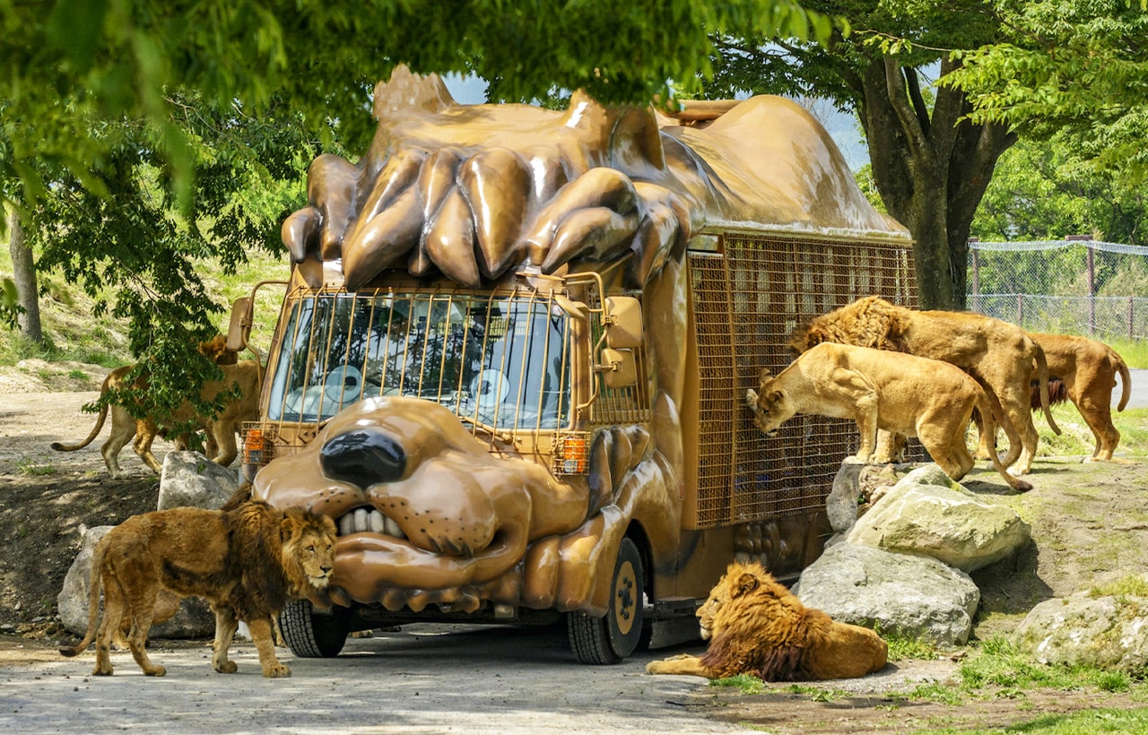 九州自然動物園｜推薦叢林巴士