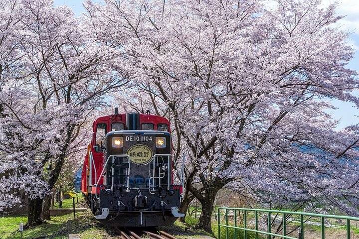 嵐山小火車簡介｜搭上時光列車，穿越京都的四季風景