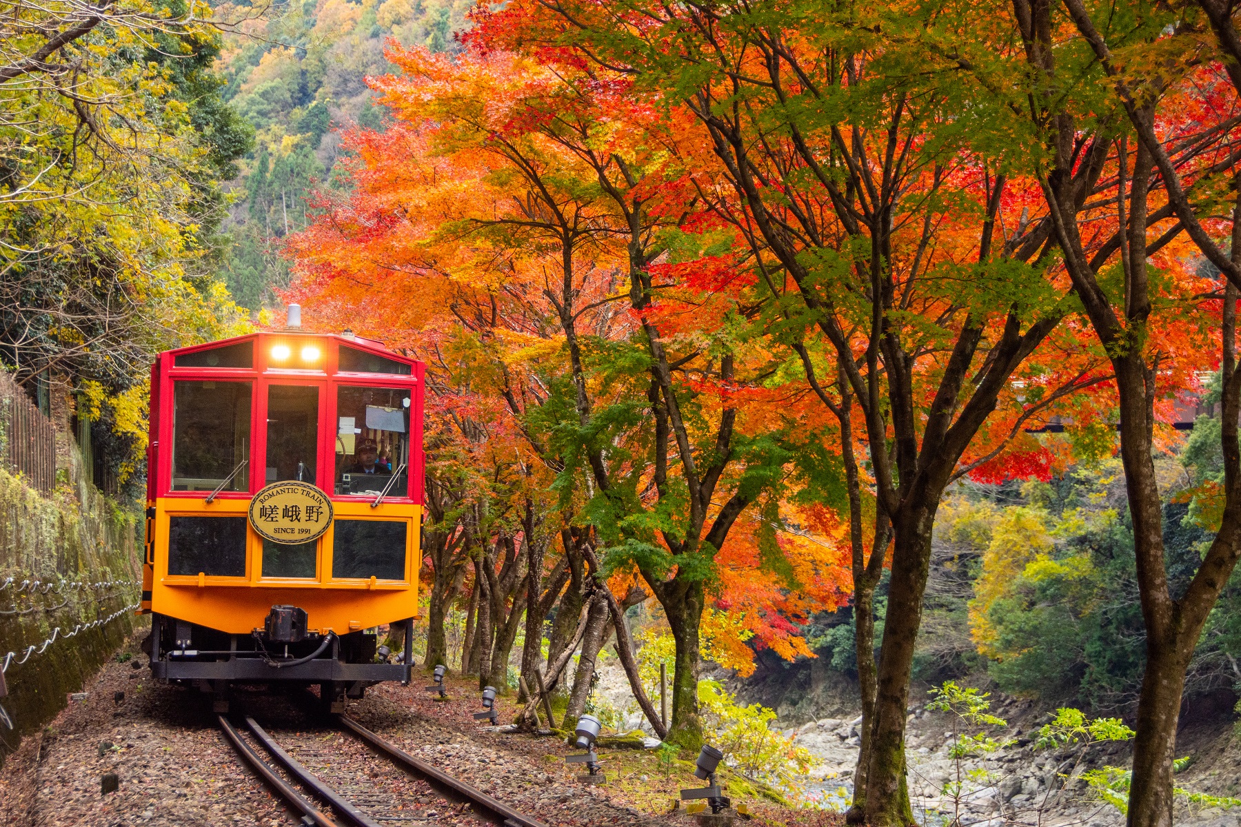 嵯峨野嵐山小火車攻略｜車票價格