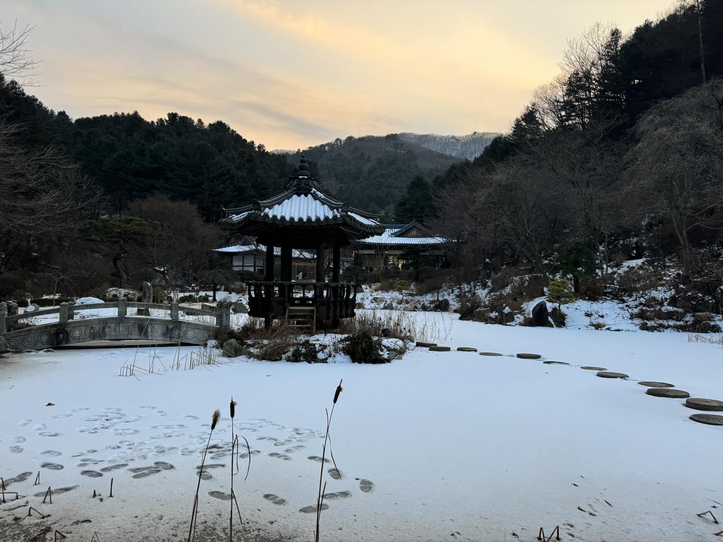 韓國首爾近郊景點 #3 晨靜樹木園