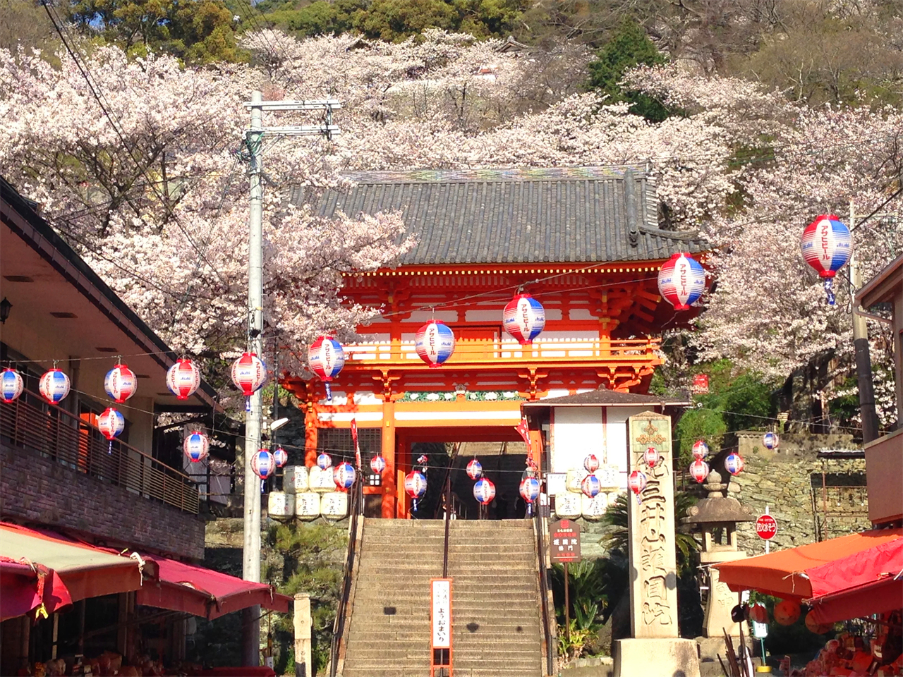 【日本和歌山景點】大阪出發一日遊:交通、行程整理攻略 - 第7張圖 和歌山景點 #3 紀三井寺