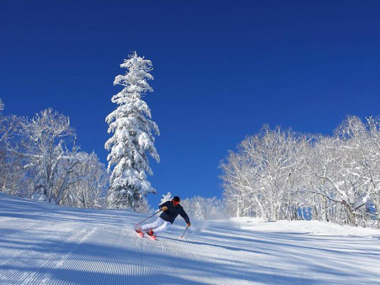 北海道滑雪｜富良野滑雪場坡道類型