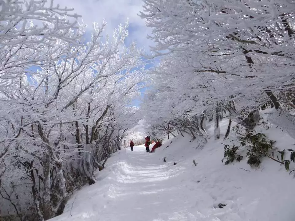 名古屋滑雪御在所滑雪場