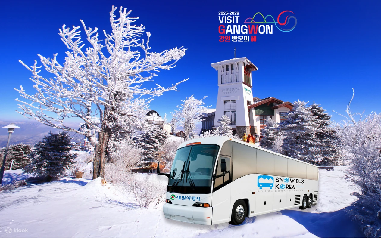【2025首爾滑雪行程】韓國京畿道等五大人氣滑雪場、渡假村整理推薦 - 第8張圖 首爾滑雪推薦龍平度假村滑雪場