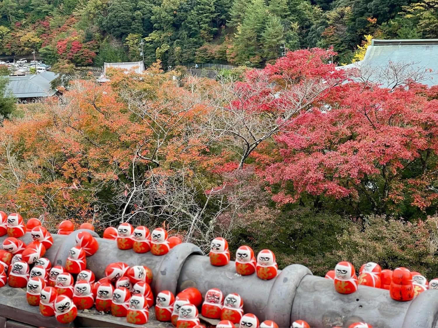 2026 大阪櫻花必去景點推薦｜勝尾寺