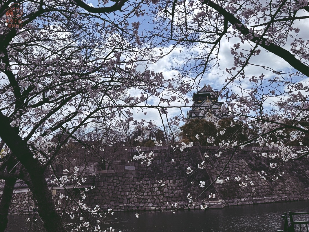 2026 大阪櫻花必去景點推薦｜大阪城公園
