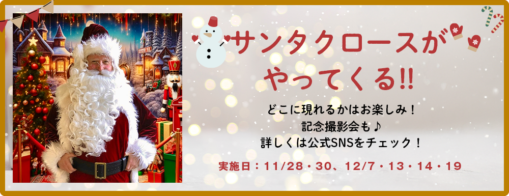 【2025大阪景點】天王寺公園聖誕市集:超浪漫點燈與耶誕小吃 - 第9張圖 2025大阪景點|天王寺公園聖誕市集:聖誕老人見面會