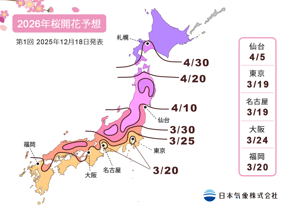 【2026 河口湖櫻花景點】可以看到東京富士山、也可賞櫻的行程推薦! - 第1張圖 2026 日本櫻花季開花日期與滿開預測/櫻花現況