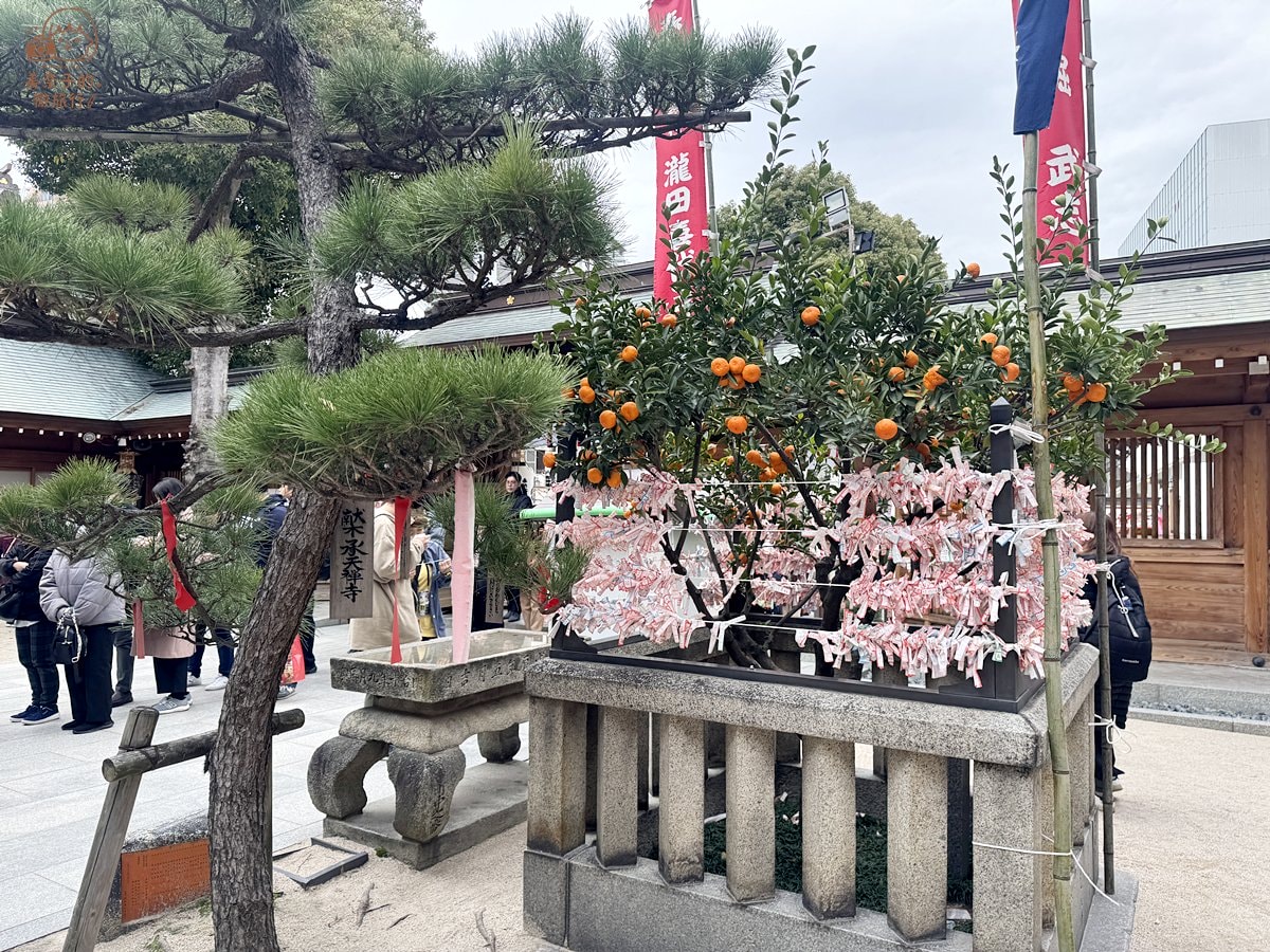 福岡景點｜櫛田神社御守、御朱印、籤詩
