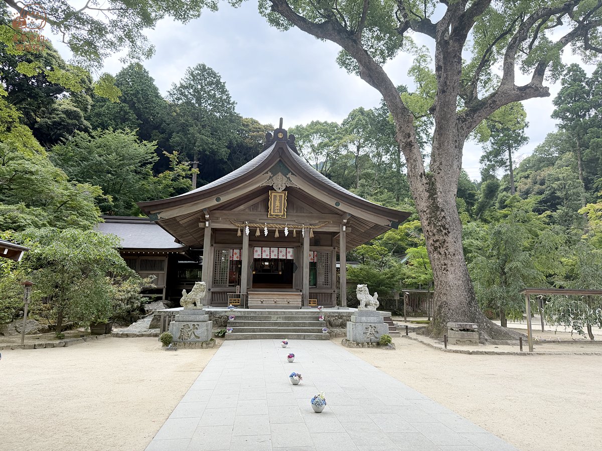 福岡寶滿宮竃門神社拜什麼？