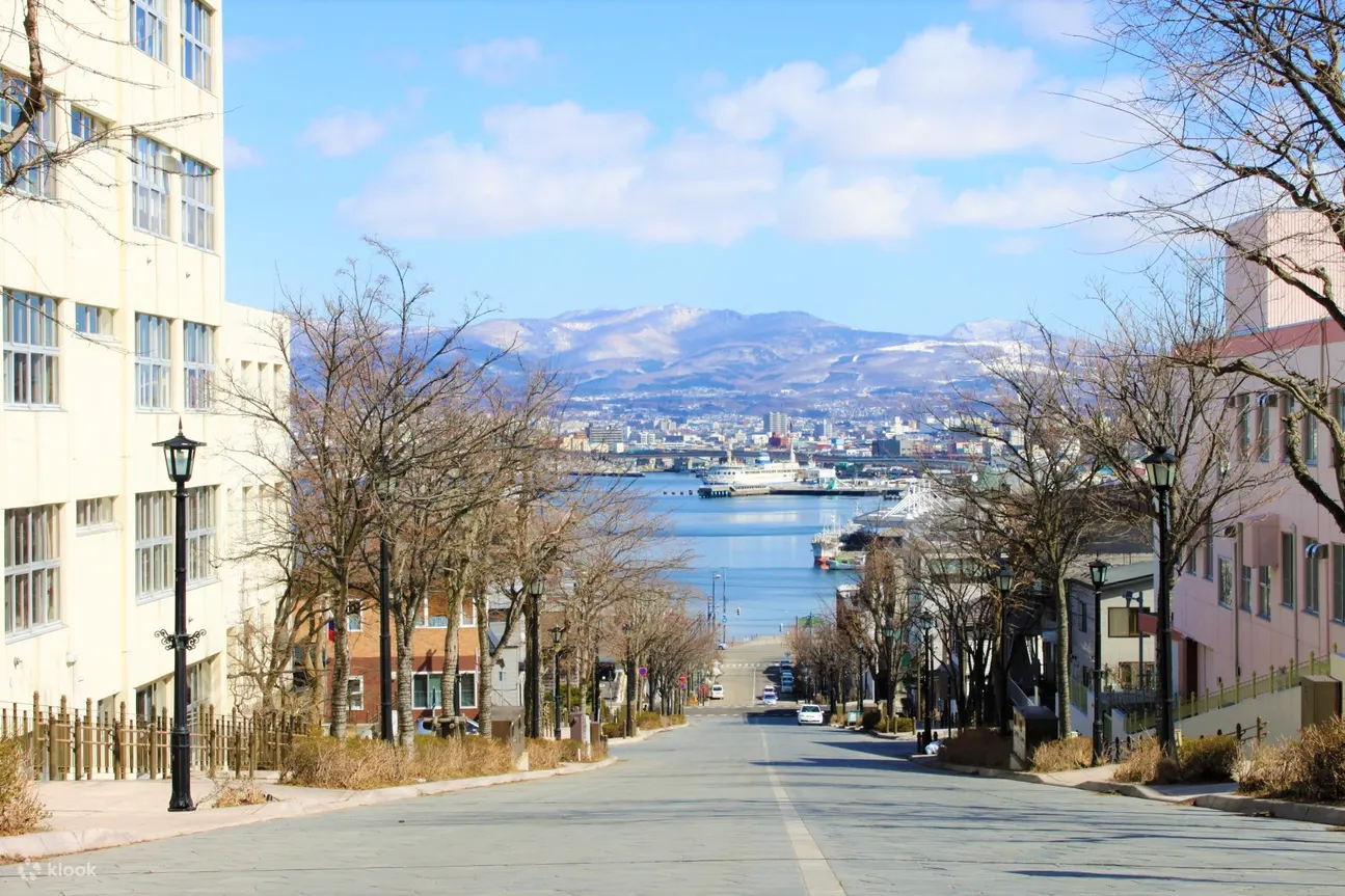 【函館攻略】2026北海道自由行:夜景/朝市/美食/溫泉/景點懶人包 - 第6張圖 函館景點 #2 八幡坂