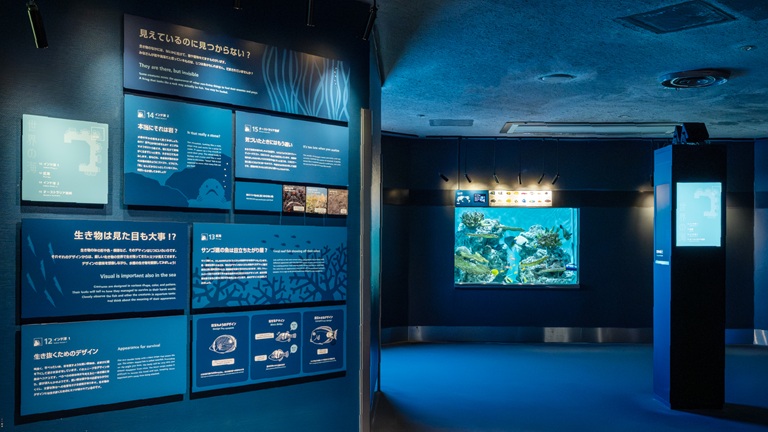 【20262東京景點】葛西臨海水族園:門票、交通方式、搭摩天輪等親子自由行整理 - 第5張圖 葛西臨海水族園必看 #2 世界海洋生態